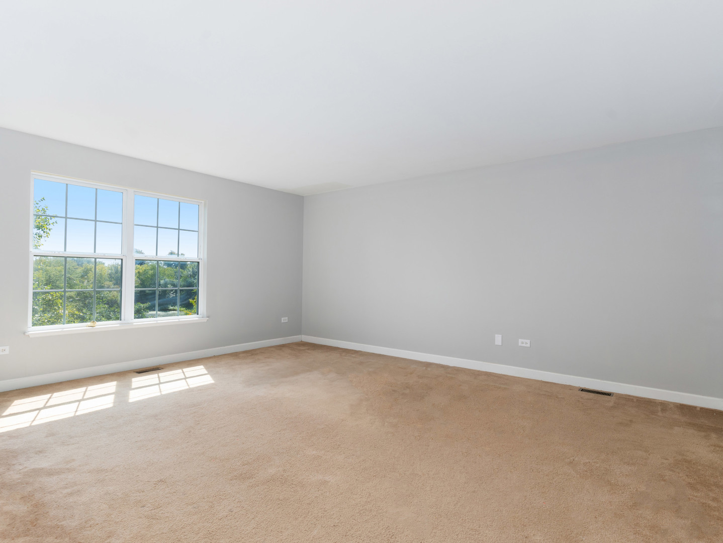 2 Ava Court Bolingbrook IL 60440