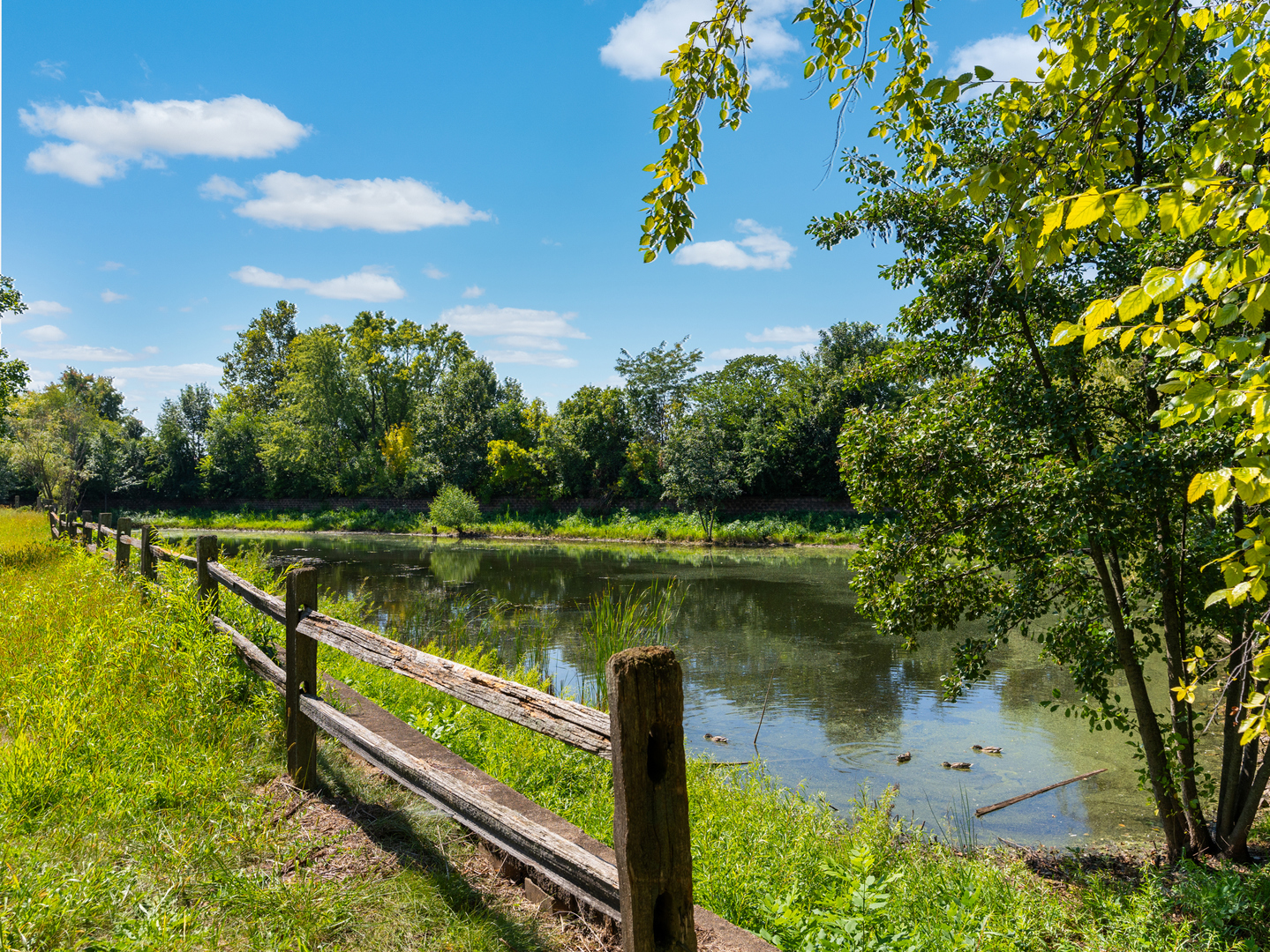 2 Ava Court Bolingbrook IL 60440