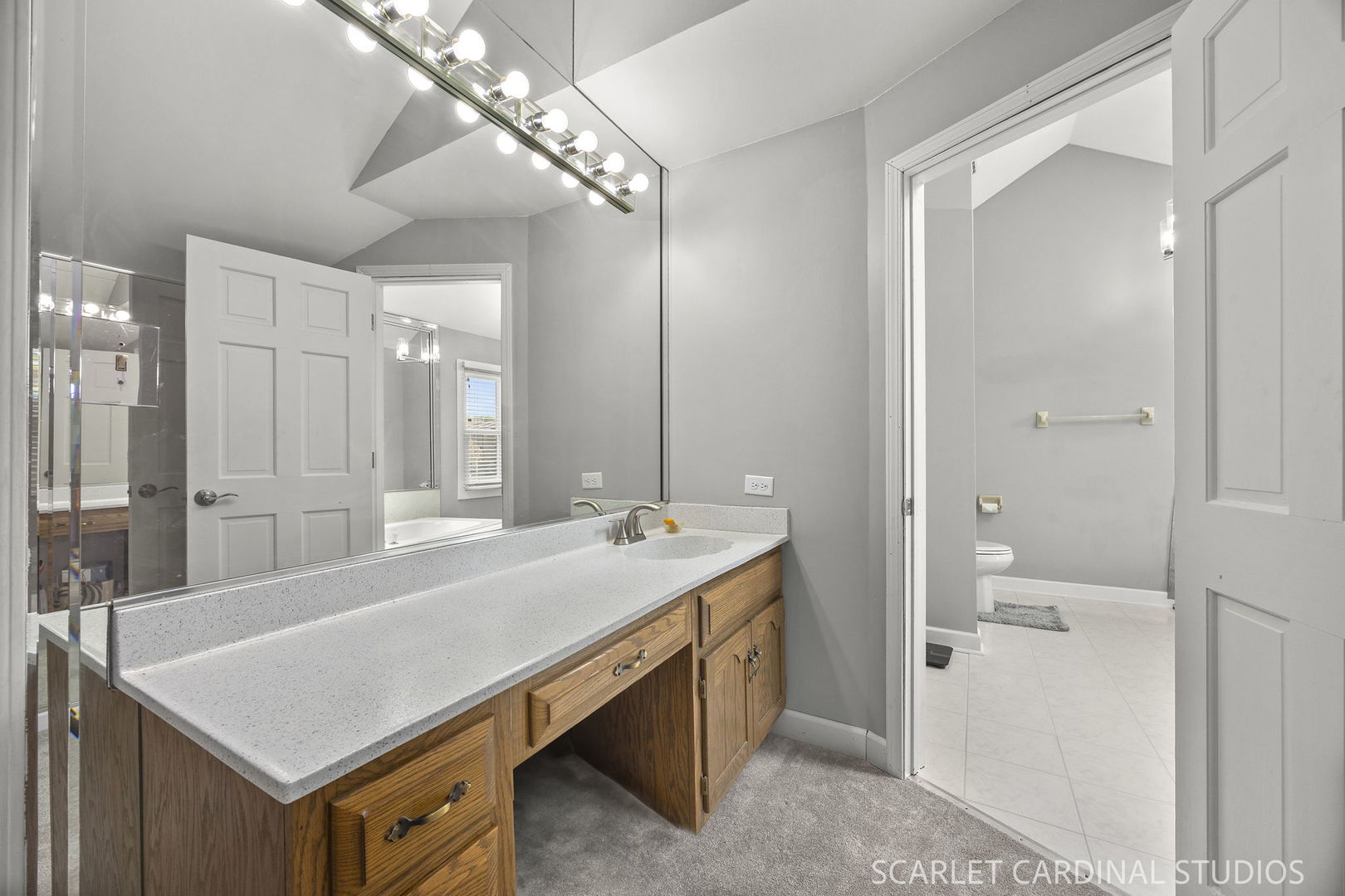 6076 Angel Lane Lisle IL 60532