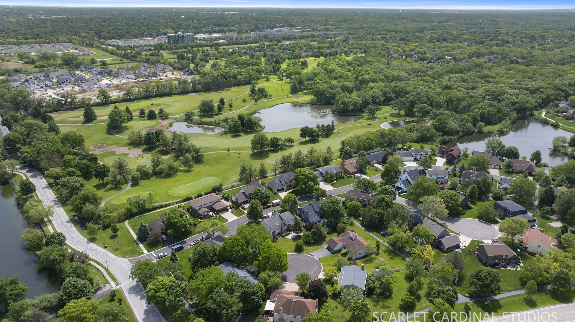 6076 Angel Lane Lisle IL 60532