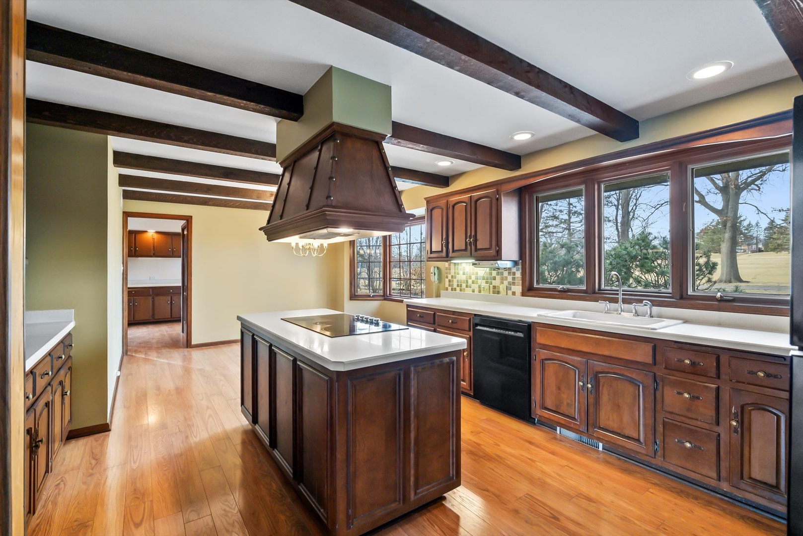 1626 Heather Lane Darien IL 60561