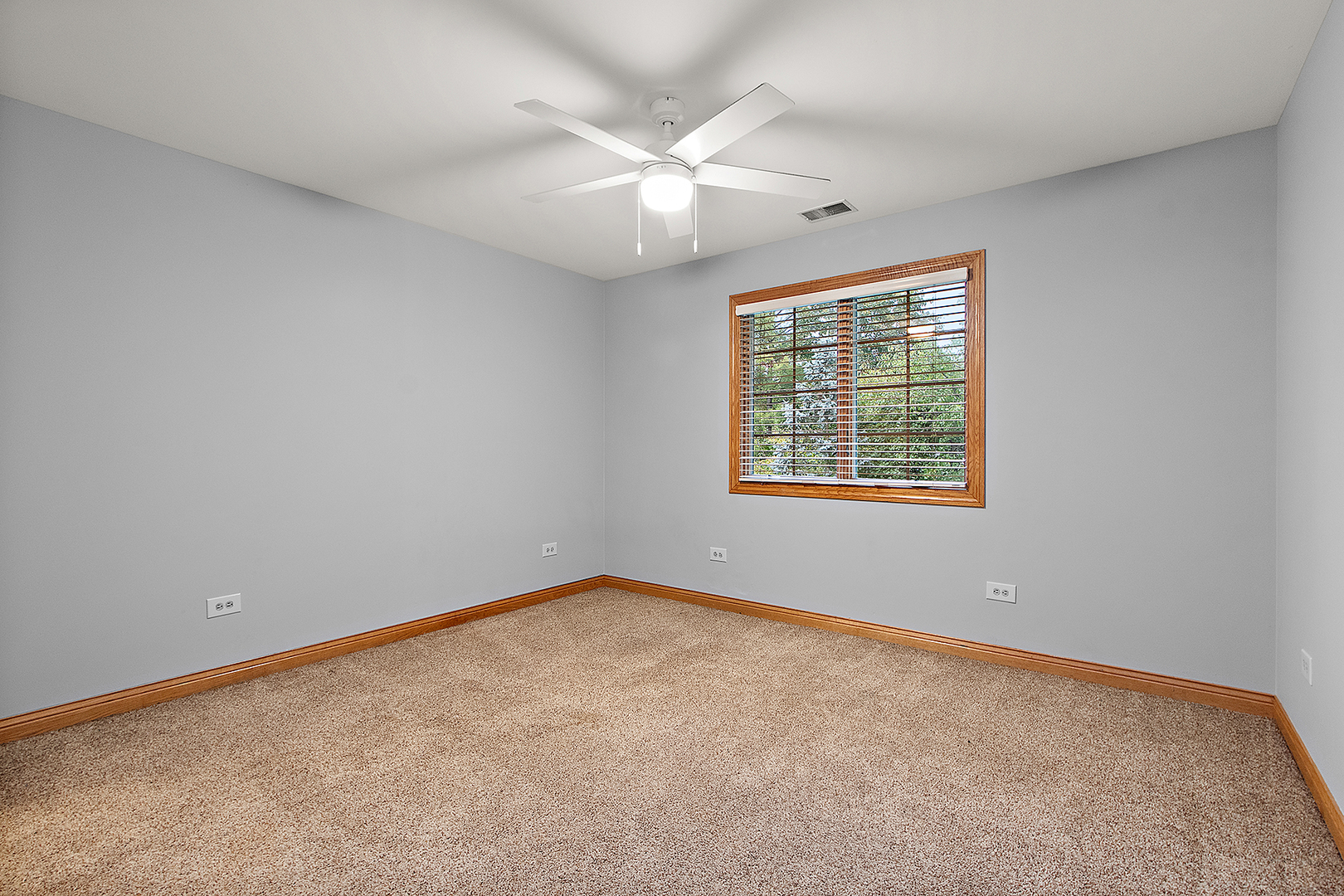 209 Linden Oaks Lane New Lenox IL 60451