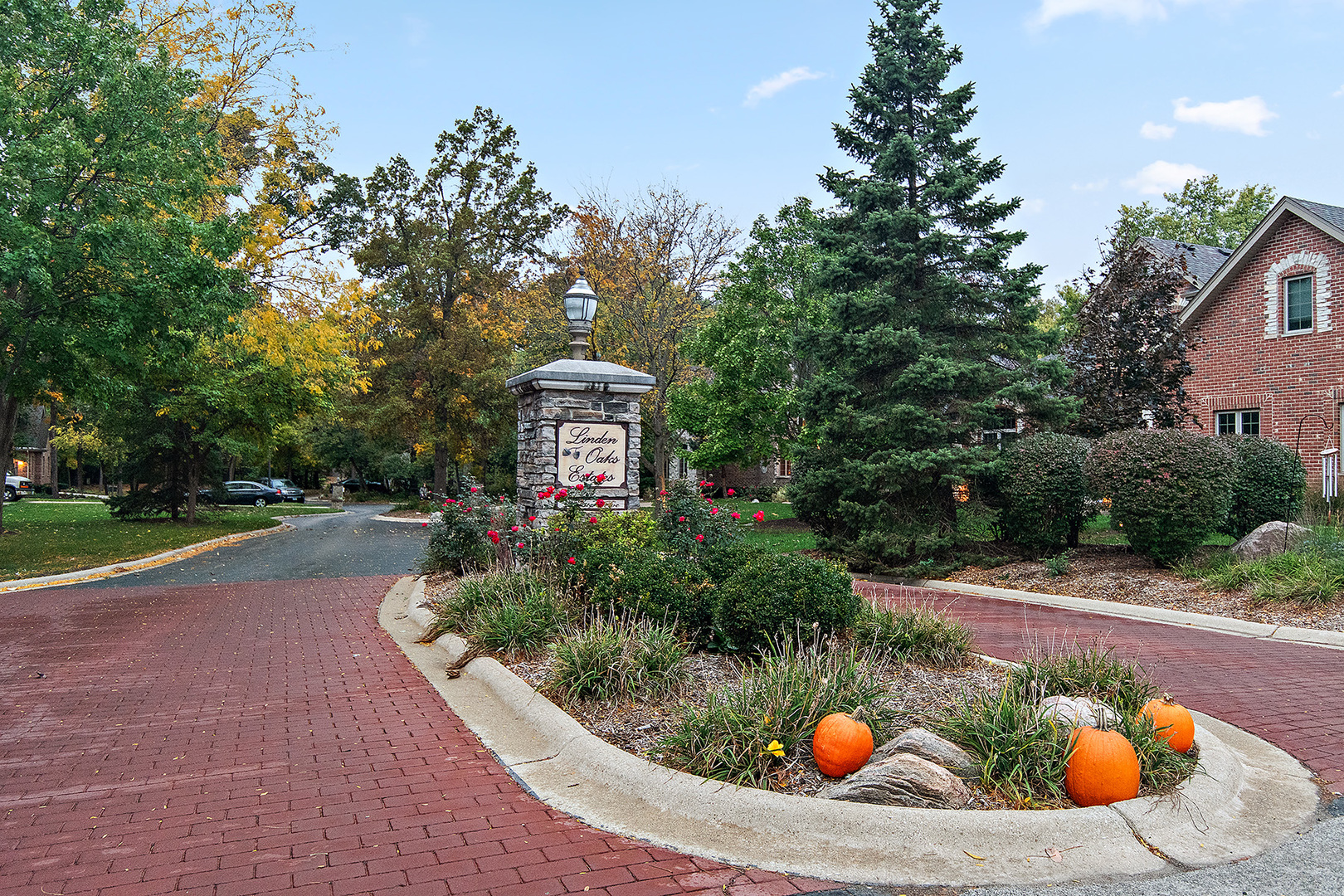 209 Linden Oaks Lane New Lenox IL 60451