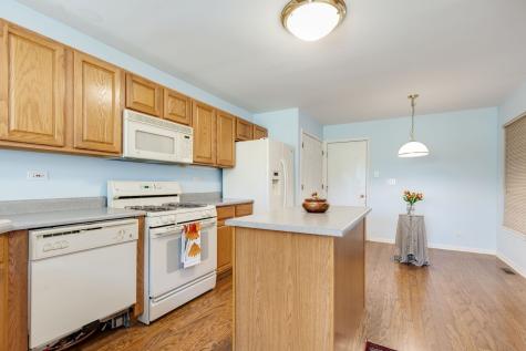 1767 Briggs Court Lisle IL 60532