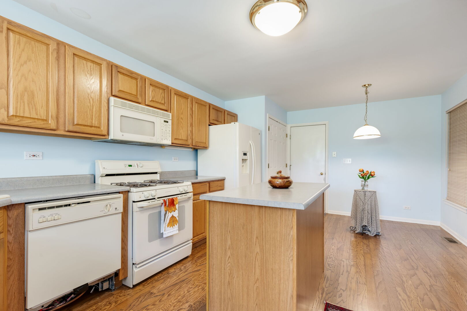 1767 Briggs Court Lisle IL 60532