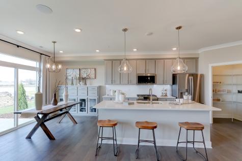 25532 West Emory Lane Plainfield IL 60544