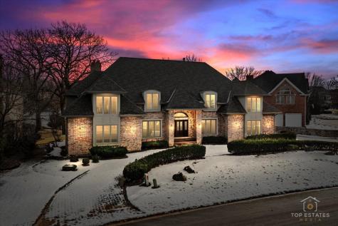 10639 Misty Hill Road Orland Park IL 60462