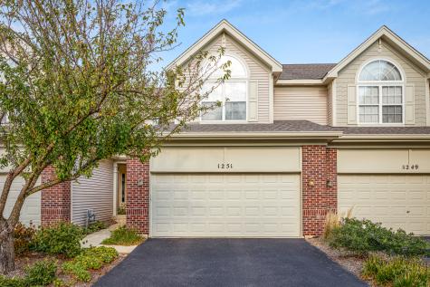 1251 Townes Circle Aurora IL 60502