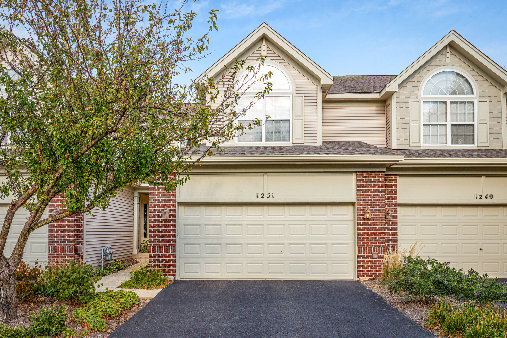 1251 Townes Circle Aurora IL 60502