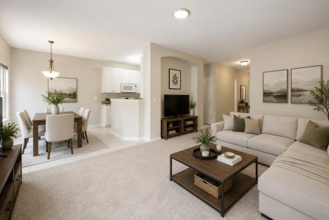 1251 Townes Circle Aurora IL 60502