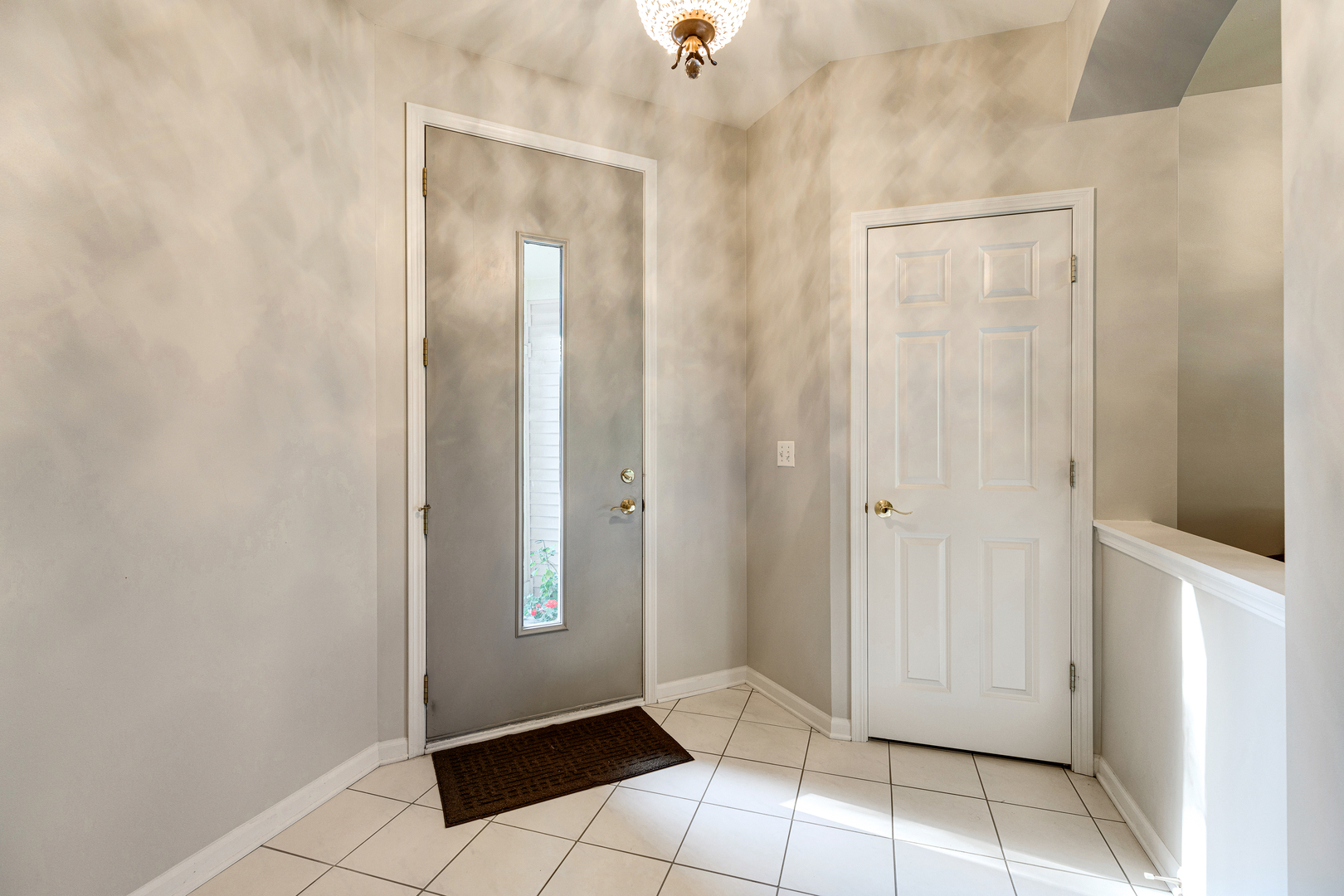 1251 Townes Circle Aurora IL 60502