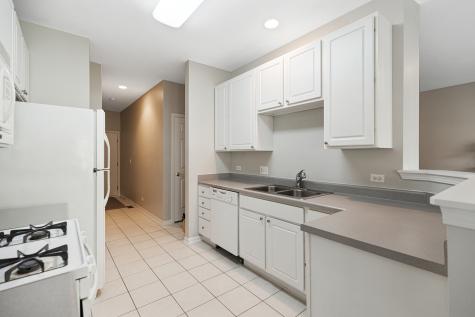 1251 Townes Circle Aurora IL 60502