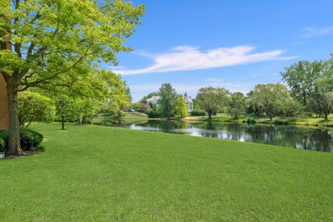 5 South Meadow Court South Barrington IL 60010