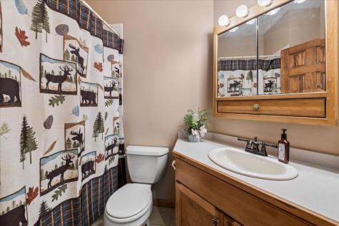 18854 South Palomino Court Shorewood IL 60404