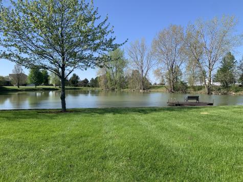 18854 South Palomino Court Shorewood IL 60404