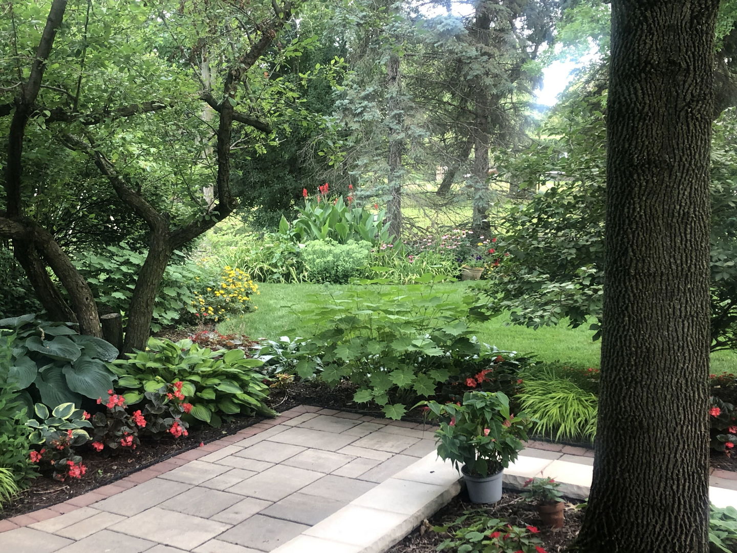 500 Buckingham Place Downers Grove IL 60516