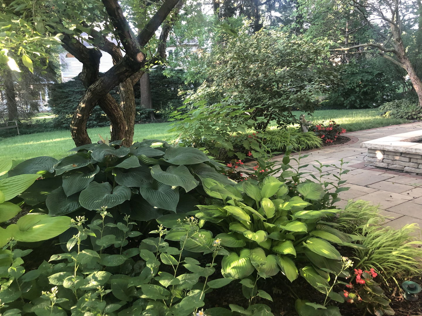 500 Buckingham Place Downers Grove IL 60516