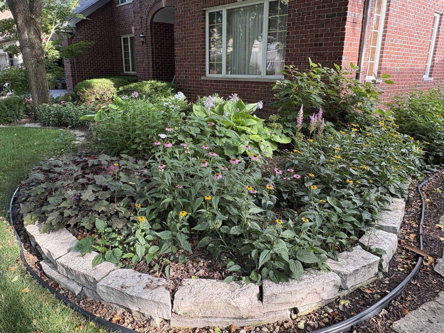 500 Buckingham Place Downers Grove IL 60516