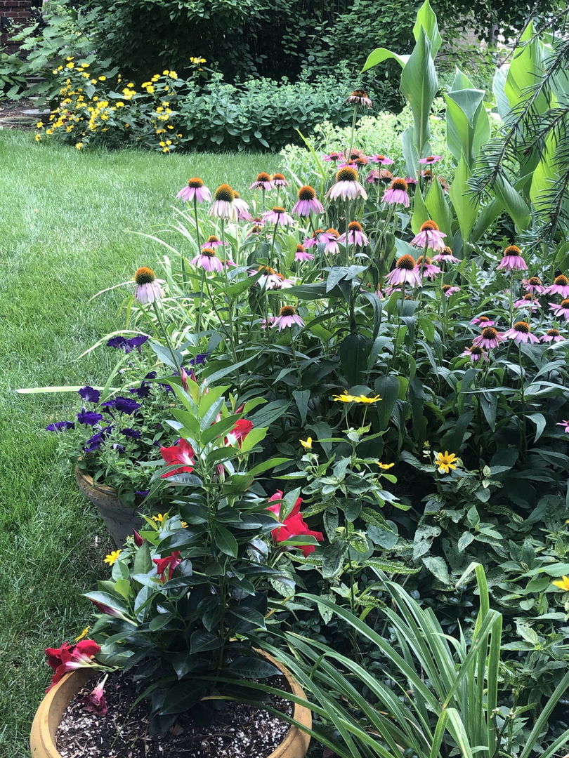 500 Buckingham Place Downers Grove IL 60516