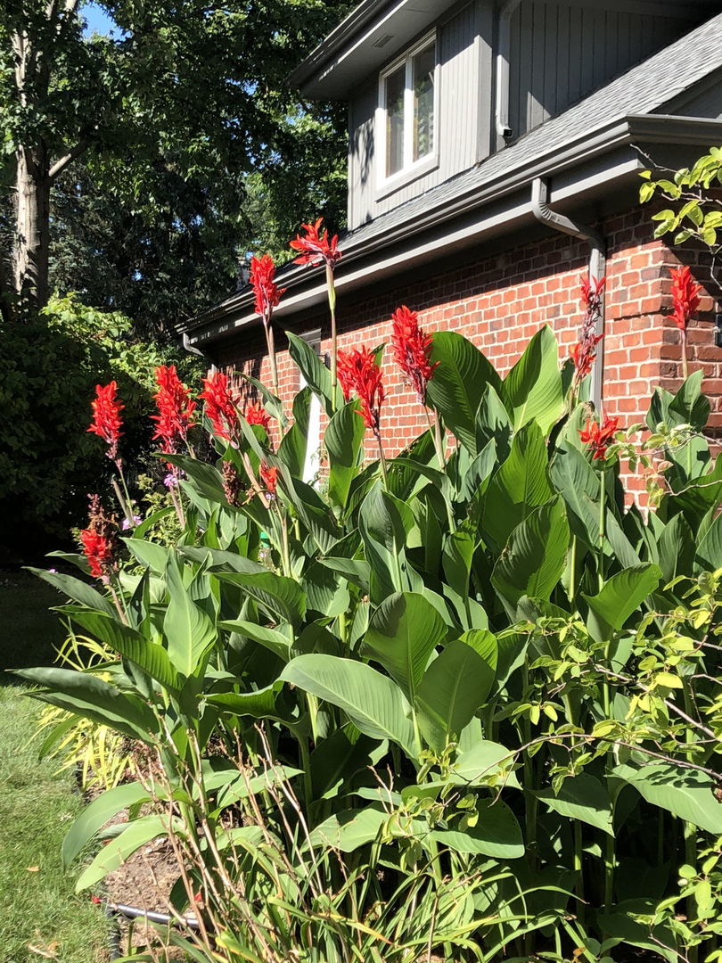 500 Buckingham Place Downers Grove IL 60516
