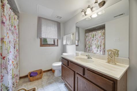 21223 Alessandra Drive Matteson IL 60443
