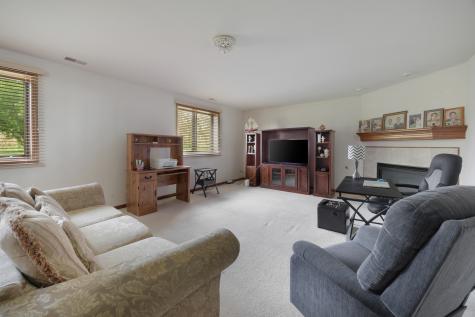 21223 Alessandra Drive Matteson IL 60443