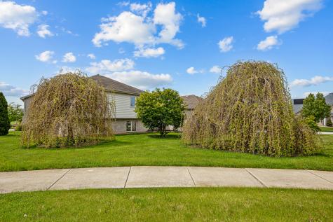 21223 Alessandra Drive Matteson IL 60443