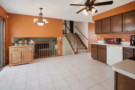 21223 Alessandra Drive Matteson IL 60443