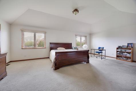 21223 Alessandra Drive Matteson IL 60443