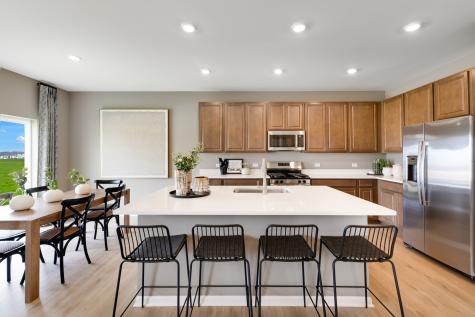 402 Clennan Place Shorewood IL 60404