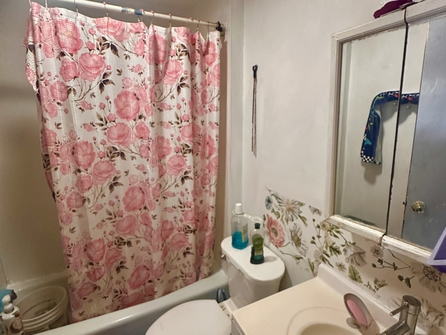 256 West Downer Place Aurora IL 60506