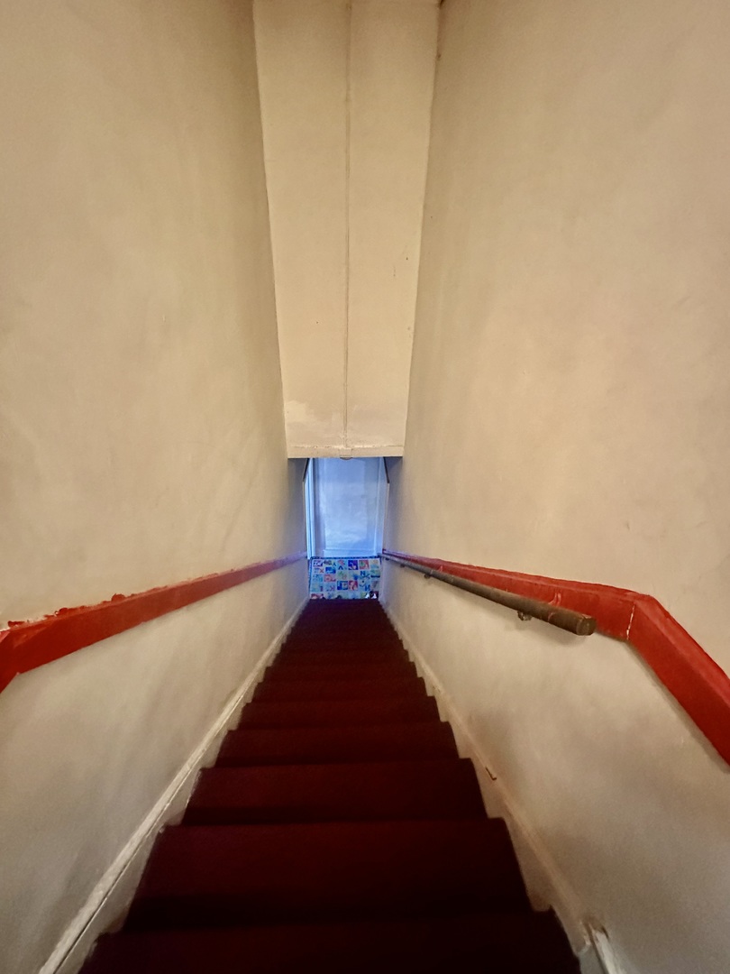 256 West Downer Place Aurora IL 60506