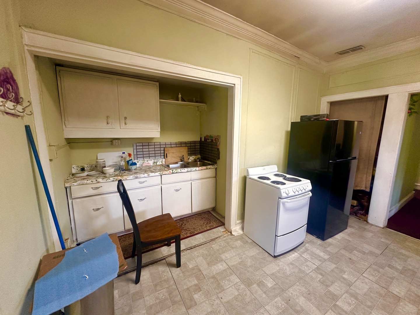 256 West Downer Place Aurora IL 60506