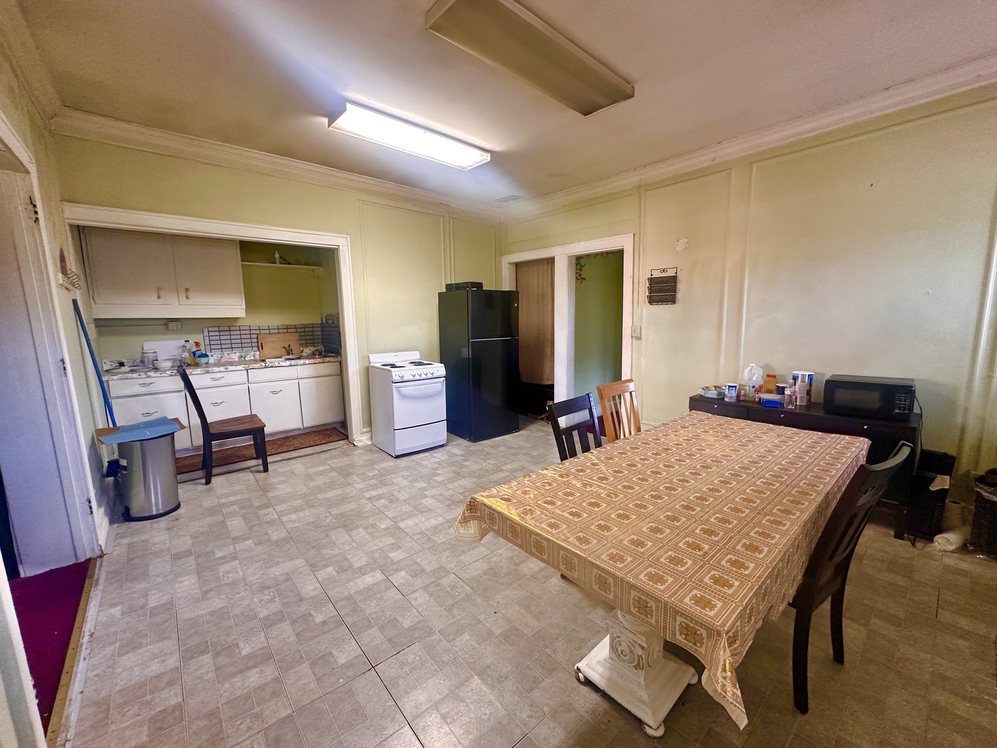 256 West Downer Place Aurora IL 60506