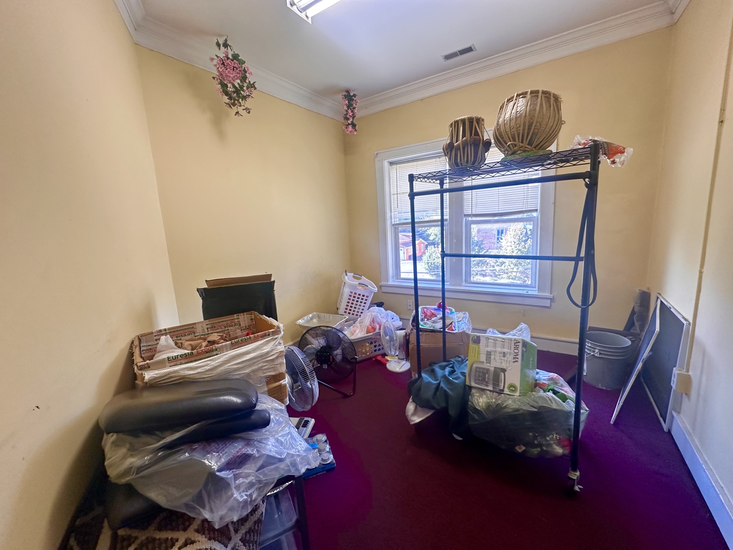 256 West Downer Place Aurora IL 60506