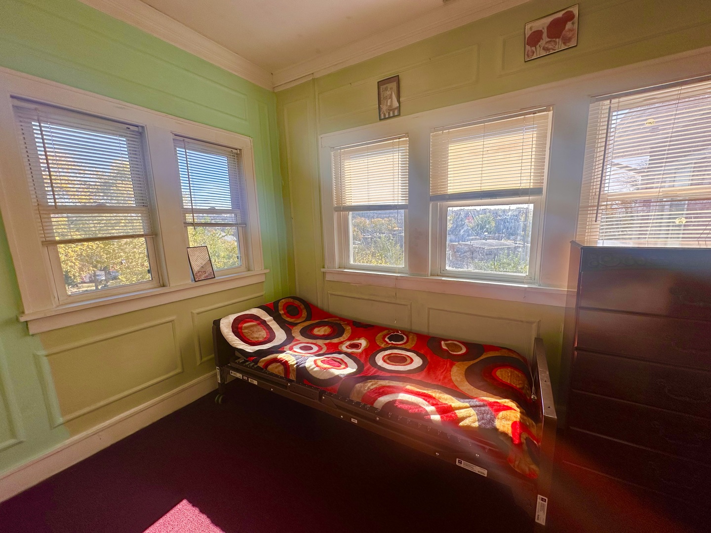 256 West Downer Place Aurora IL 60506