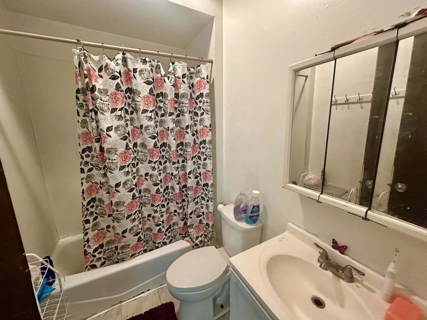 256 West Downer Place Aurora IL 60506