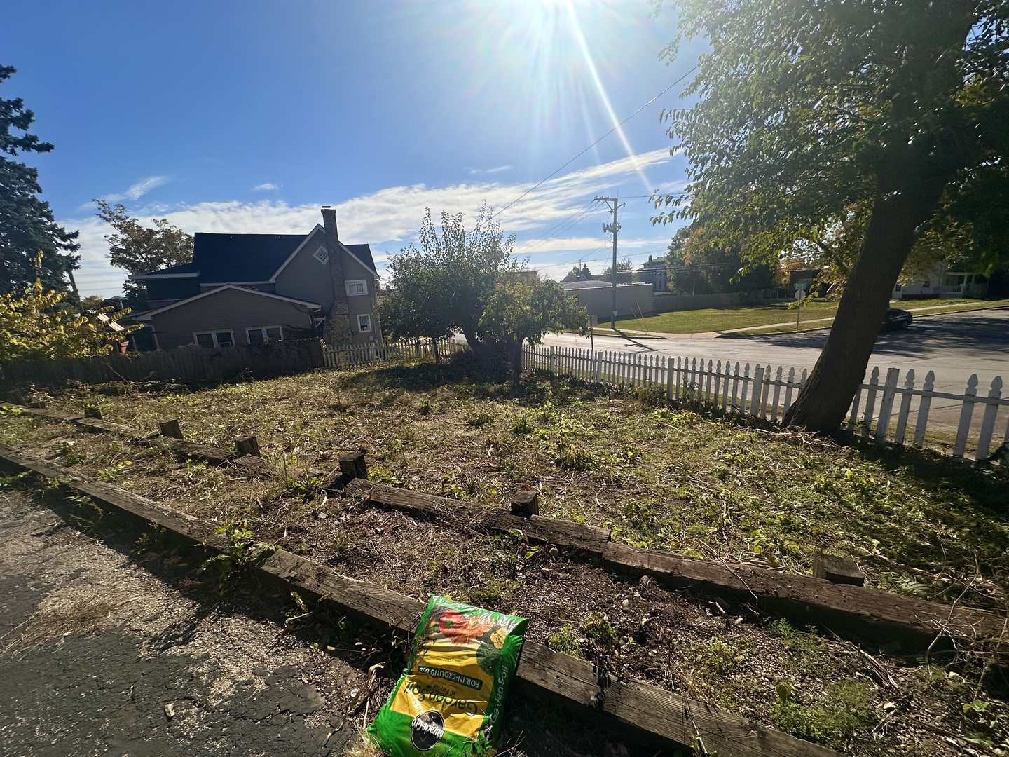 256 West Downer Place Aurora IL 60506