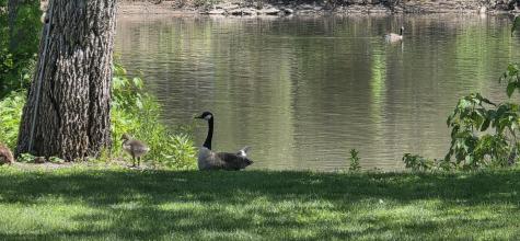 2857 River Road Kankakee IL 60901