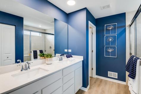 20931 South Auburn Drive Shorewood IL 60404