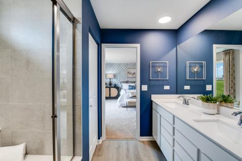 20931 South Auburn Drive Shorewood IL 60404