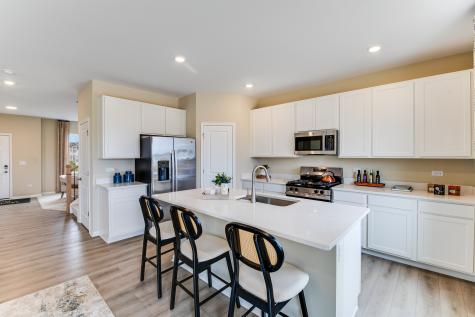 20931 South Auburn Drive Shorewood IL 60404