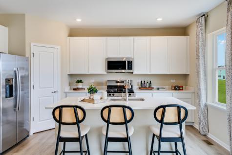 20931 South Auburn Drive Shorewood IL 60404