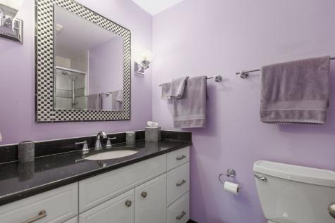 879 Burgess Circle Buffalo Grove IL 60089