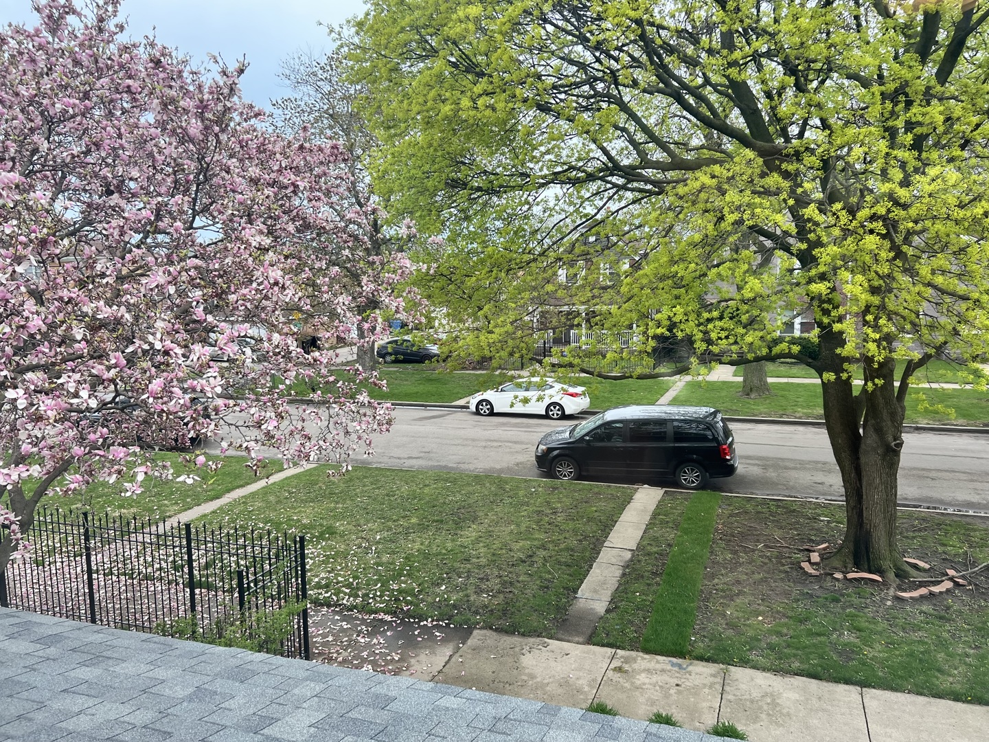 8720 South Michigan Avenue Chicago IL 60619