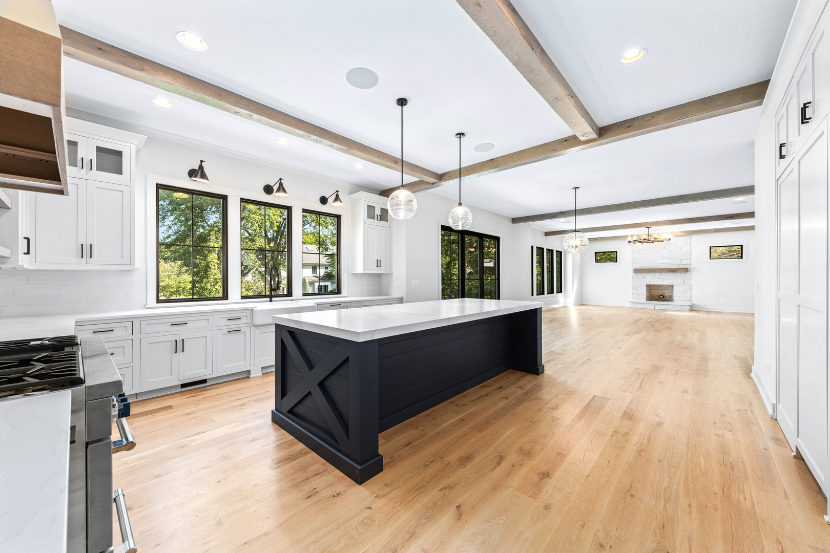 1314 North Eagle Street Naperville IL 60563