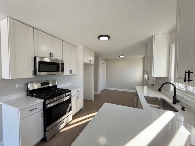 1721 East 91st Place Chicago IL 60617