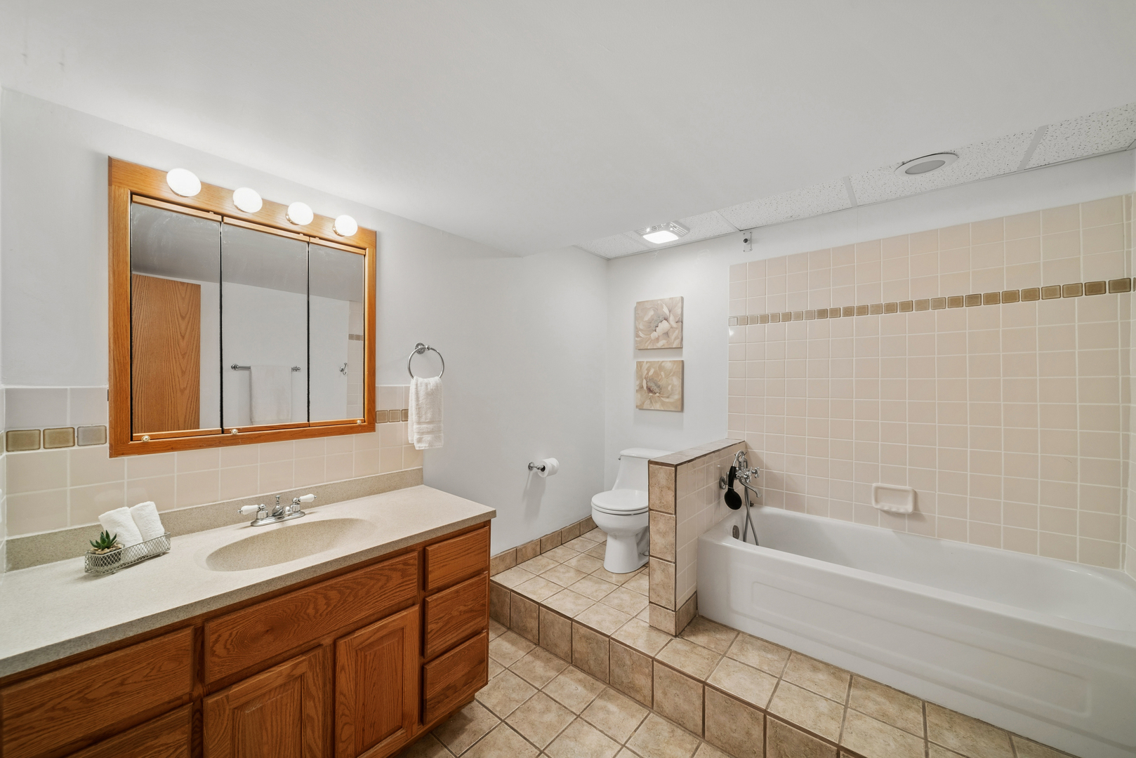 2216 Olde Mill Road Plainfield IL 60586