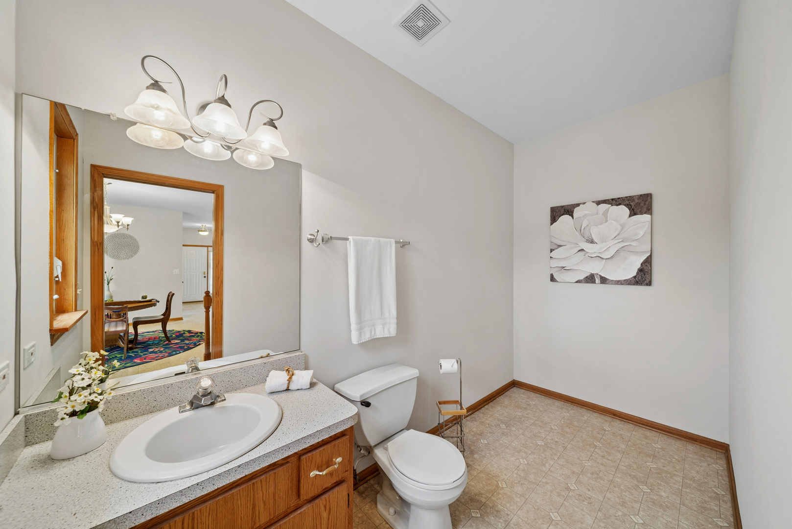 2216 Olde Mill Road Plainfield IL 60586