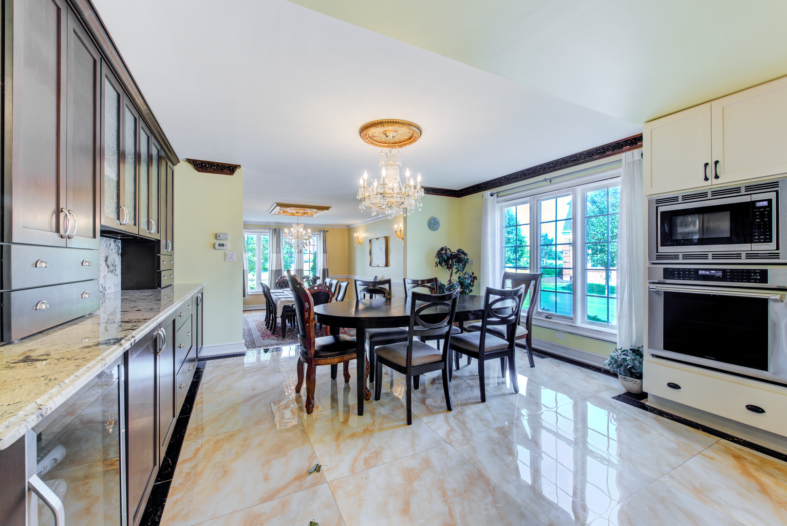 46 Hamilton Lane Oak Brook IL 60523